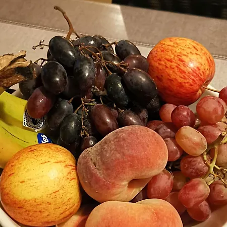 Lek & Jo Kwatera prywatna *