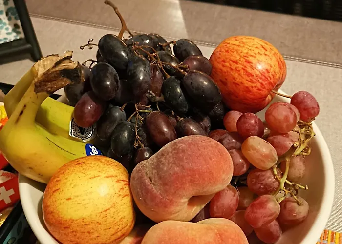 Lek & Jo Kwatera prywatna *